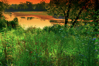 Near Black Rock Nature Preserve; Warren County, Indiana