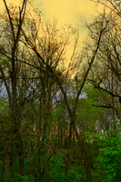 Evening Near the Battlefield