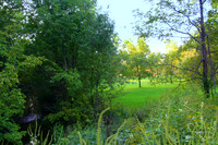 Creekside, Late Evening