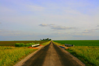 Rural Road, Central Illinois