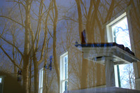 Trees Reflected in Church Window; Tippecanoe Battlefield, Indiana