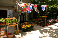 Tony's Flower Shop