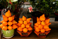 Fruit Arrangements for Sale, Lamma Island, Hong Kong