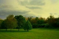 Soft Evening