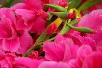 Bouquet 3