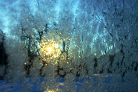 Ice Crystals #2
