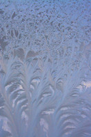 Ice Crystals #5 Vertical