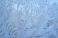 Ice Crystals #4