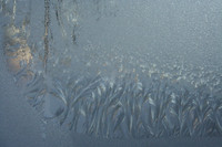 Ice Crystals #6